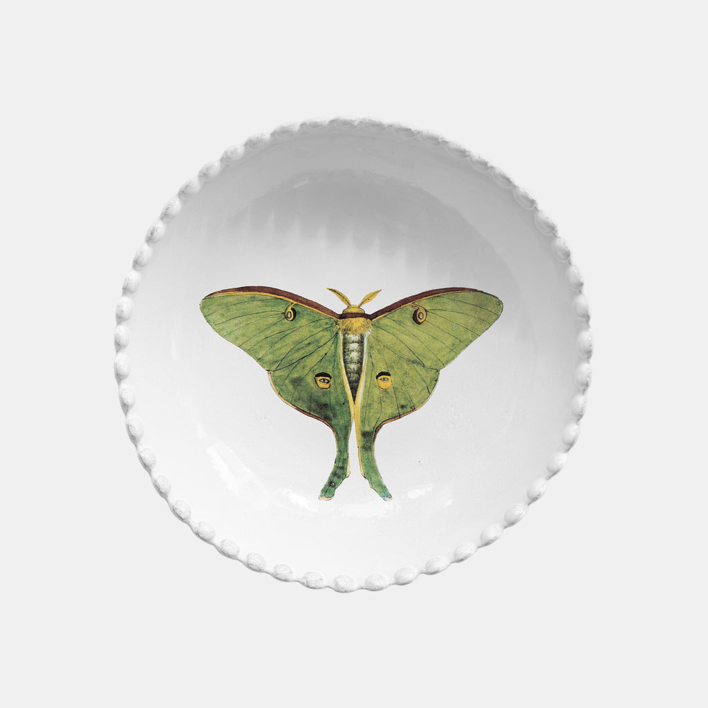 White ceramic bowl with green butterfly illustration by John Derian and Astier de Villatte in Amsterdam Netherlands