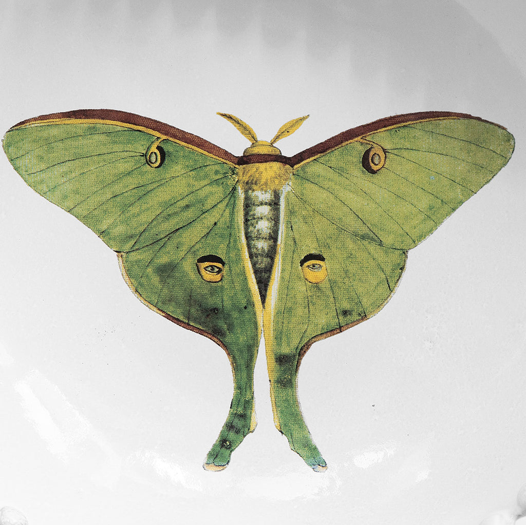 Witte keramische kom met groene vlinderillustratie door John Derian en Astier de Villatte in Amsterdam, Nederland