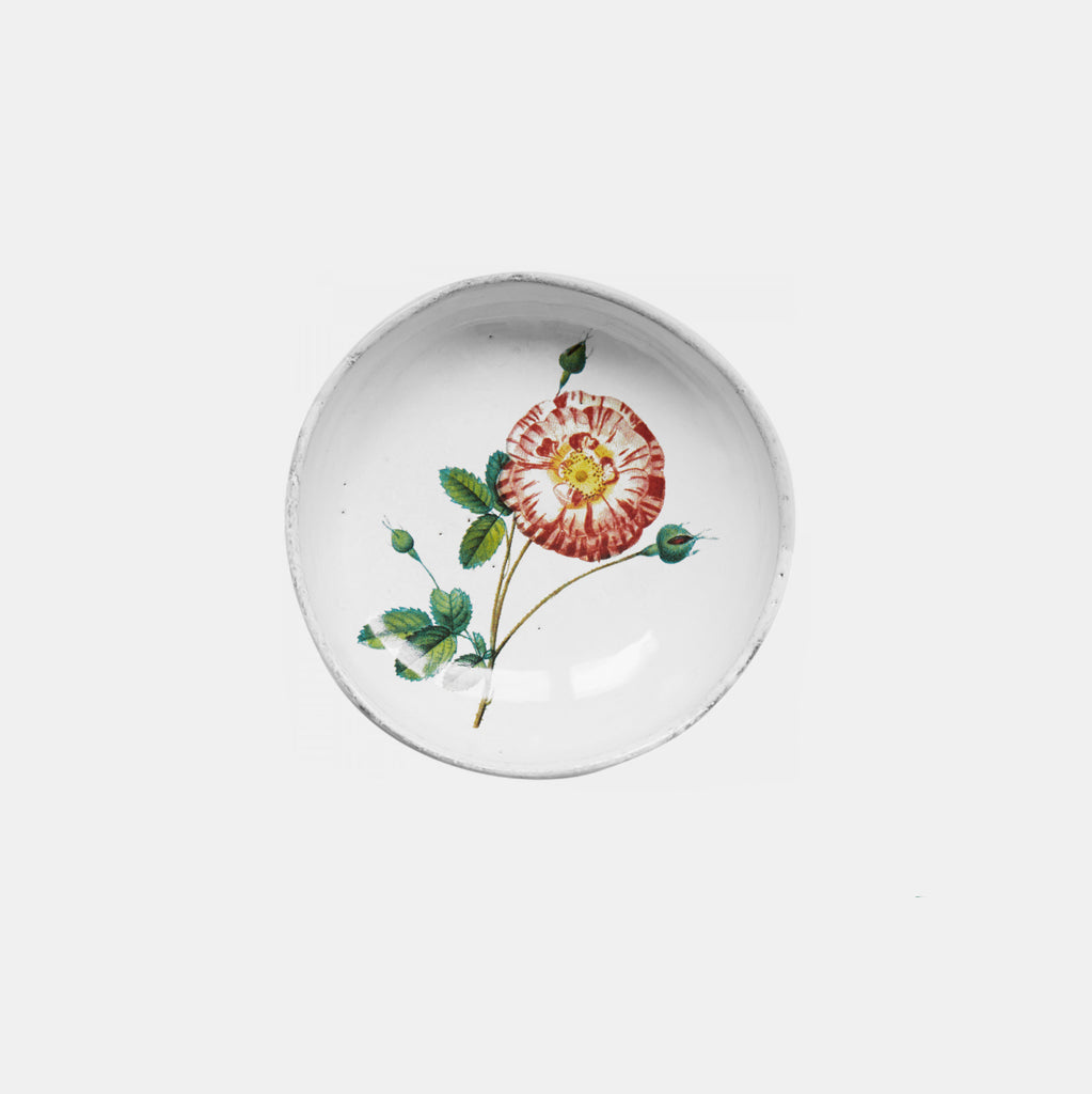 Small white ceramic dish with pink red bloomed rose and leaves by Astier de Villatte in Amsterdam Nederlands