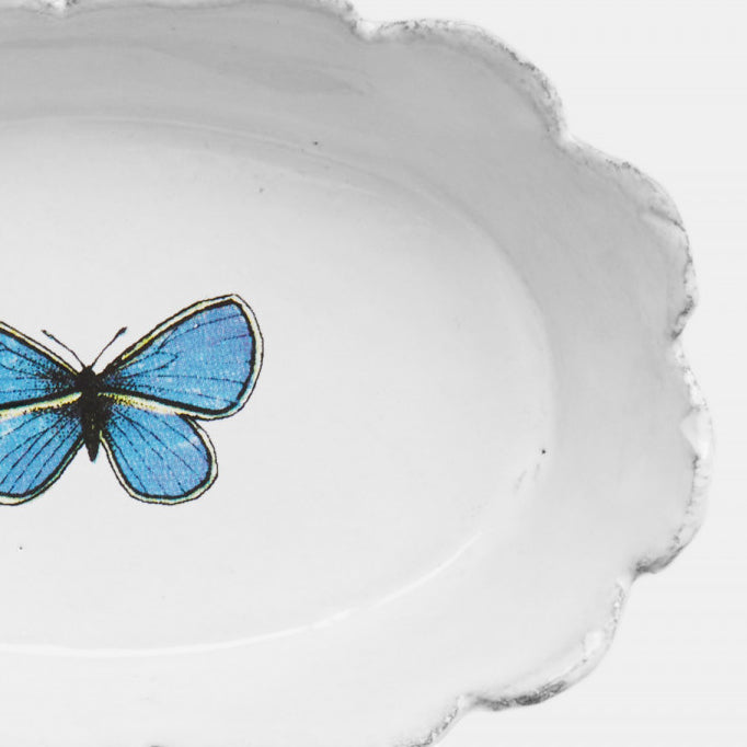 Scalloped white ceramic small dish with blue butterfly by John Derian close up