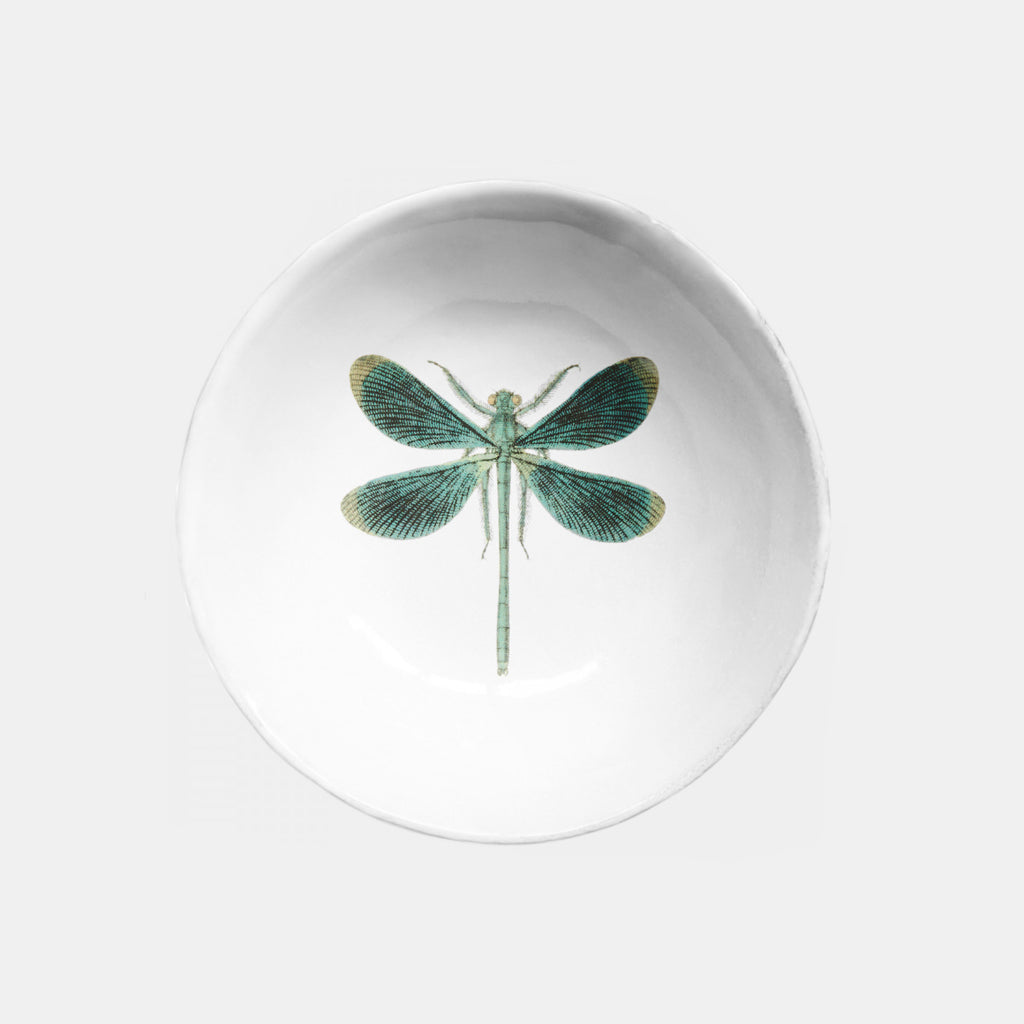 White ceramic bowl dish with blue green dragonfly image by Astier de Villatte in Amsterdam Nederlands