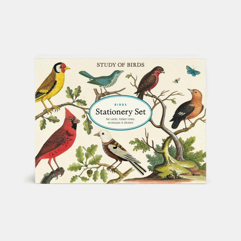 Set of stationery featuring birds from illustrated archival prints by Cavallini & Co in Amsterdam Netherlands