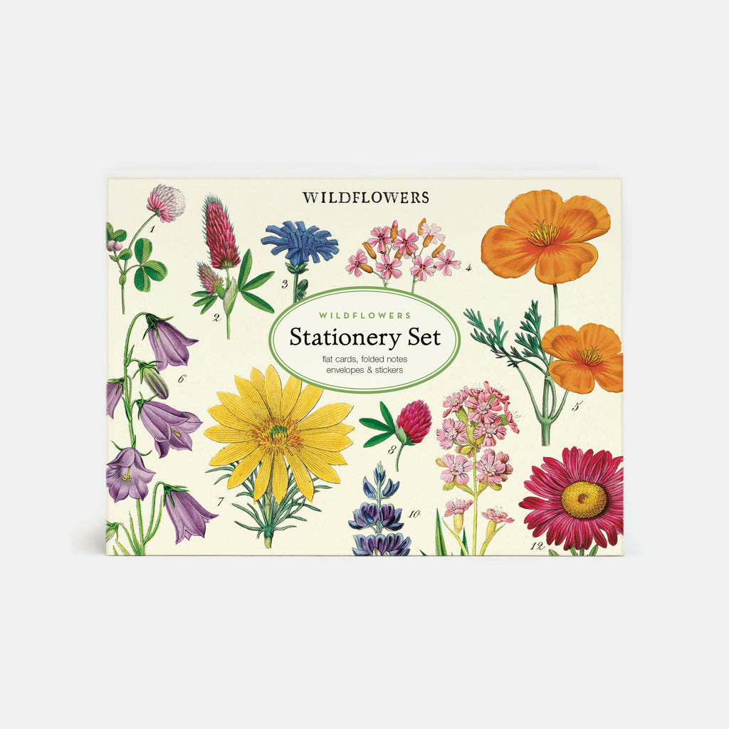 Stationery set with colorful wildflowers from vintage illustrations by Cavallini & Co in Amsterdam Netherlands