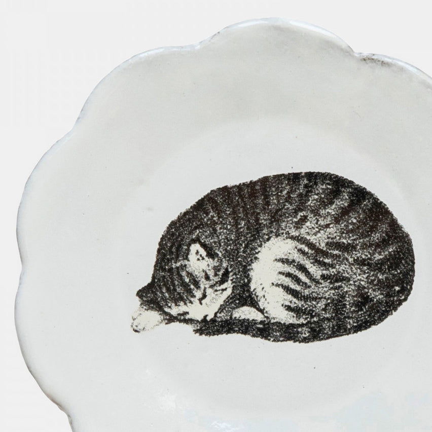 Small scalloped white ceramic dish with sleeping cat close up