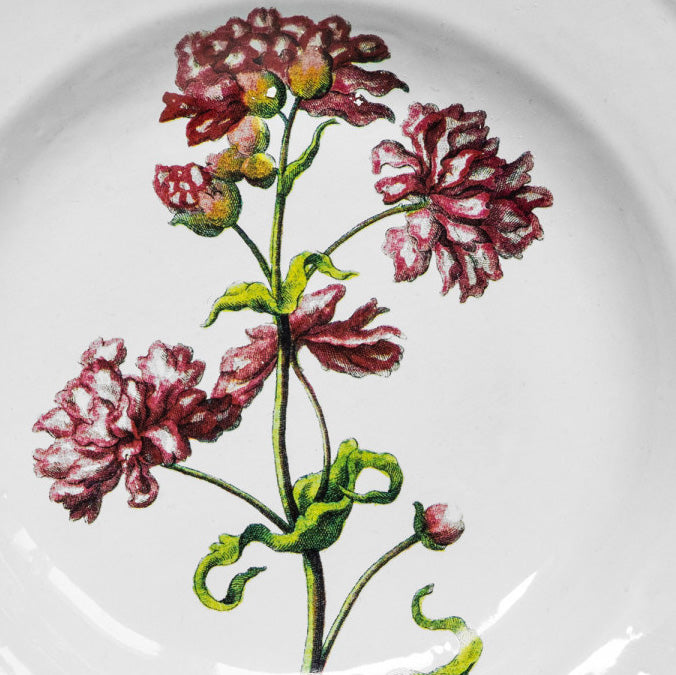 Double Catch Fly Plate, ceramic with flower close up