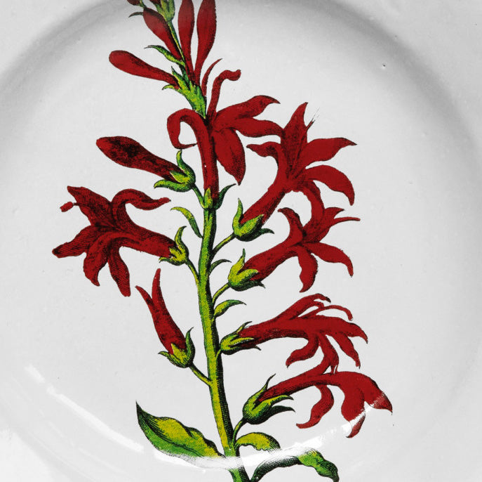 ceramic plate with red flower close up