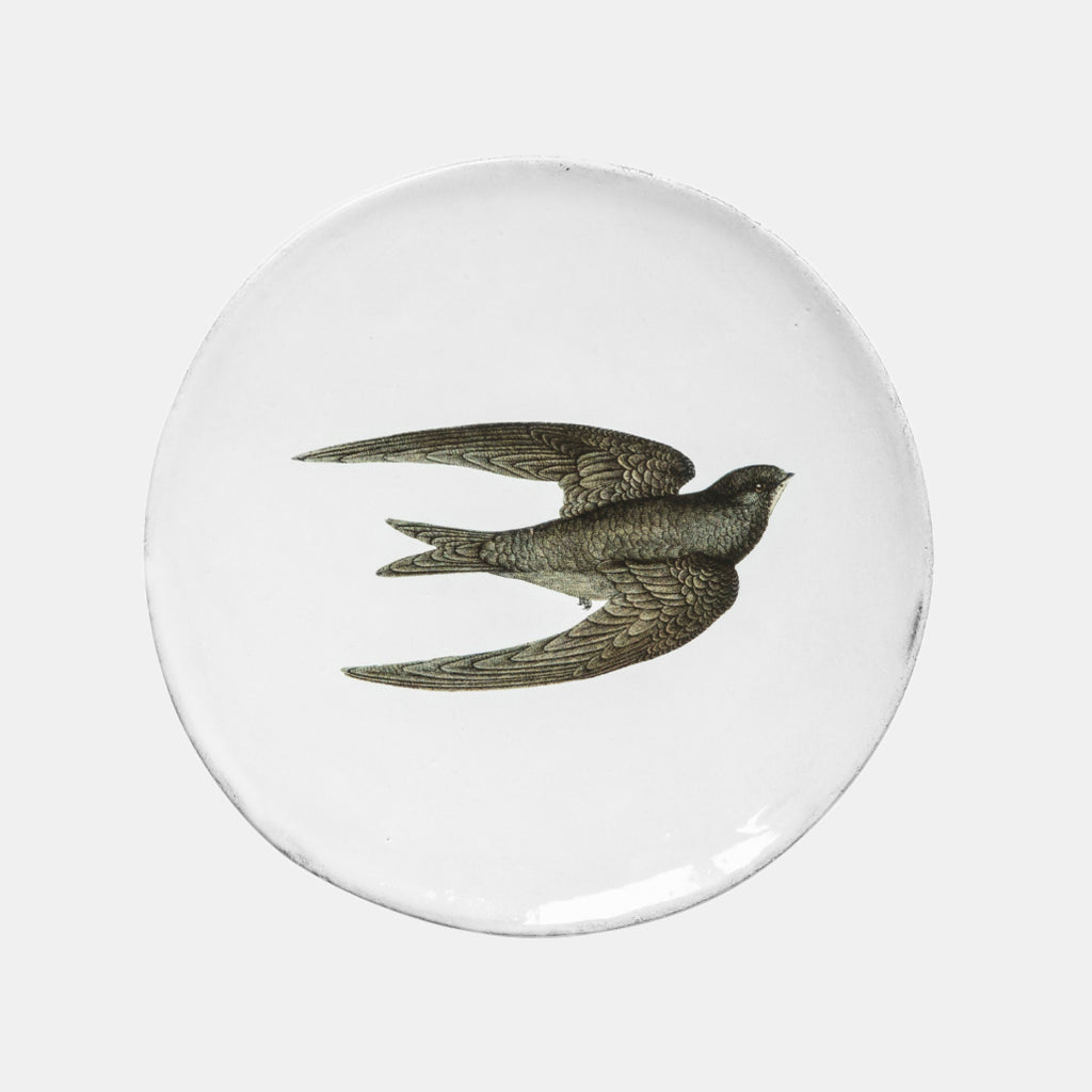 White ceramic plate with swallow bird by john derian